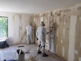 Why You Should Choose Our Mold Remediation Services in Hagan, GA